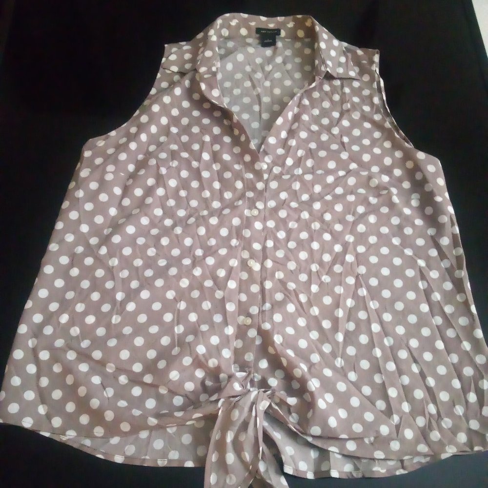 Anne Taylor blouse
